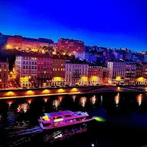 Appart clim vue d’exception quai saone presqu’île