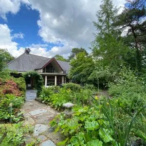 Sjieke gezellige villa in het bos