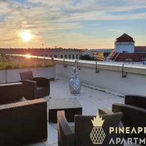 Pineapple Apartments Penthouse am Zwinger