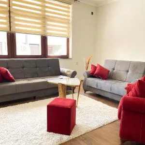 Sunny Hill Apartment