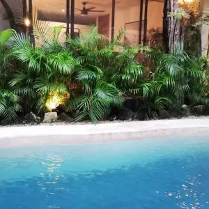 "Agua & Selva" Luxury Jungle Loft pool view