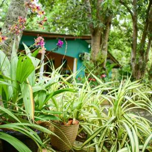 Palitha Homestay
