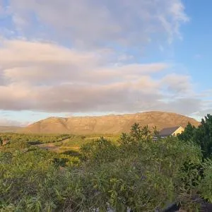 Bay Haven
