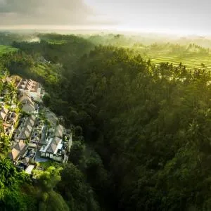 Viceroy Bali