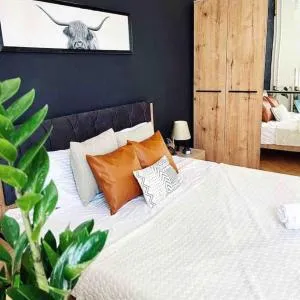 Modern & Rustic Apartment - City Center.