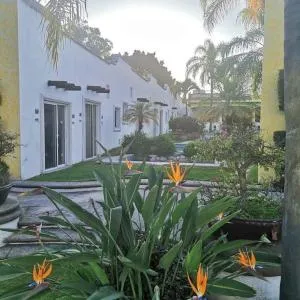 Los Canarios Cuernavaca