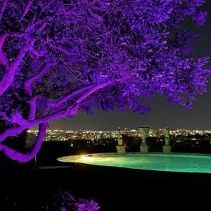 Oasis in The Hills