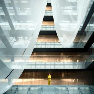 The Opposite House