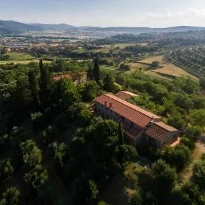 Il Mulino delle canutole