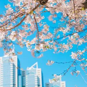 Park Hyatt Tokyo