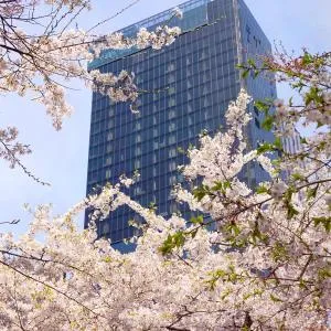 Sofitel Ambassador Seoul Hotel & Serviced Residences