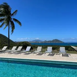 Mount Nevis Hotel