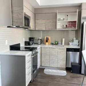 Exquisite Condo in Downtown Toronto