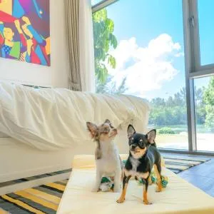 Cassia Phuket - SHA Extra Plus