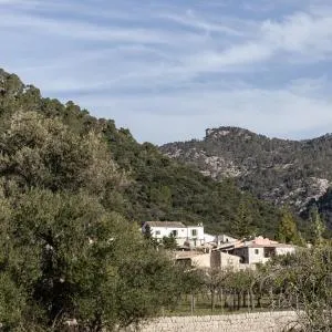 Finca Can Beneit