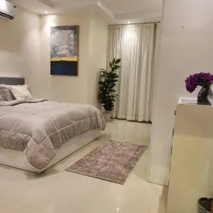 شقة صغيرة VIP حي الوادي غرفة وصالة