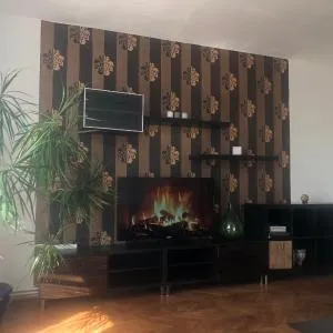 Wonderful garden House with infrasauna