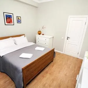 Perfect spacious apartment