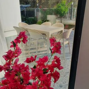Dream luxury villa in royal park