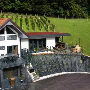 Villa in the Vineyard with Pool, HotTub & Sauna