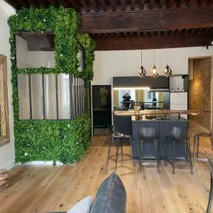 La Clef de Saint Georges. Appartement luxe au coeur de Lyon!
