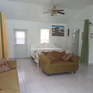 Sunflower Oasis