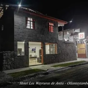 Los Wayruros de Anita