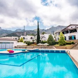 The Olive Tree Hotel