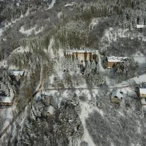 Park Resort Aghveran