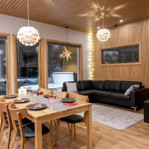 Premium Lapland Villa with jaguzzi