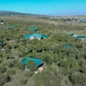 kubwa mara safari lodge tent camp