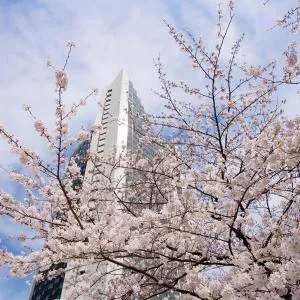 ANA InterContinental Tokyo, an IHG Hotel