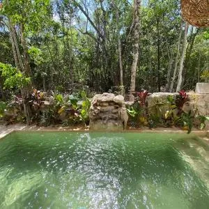 Little Oasis with private pool in the jungle