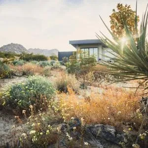 Caelum Joshua Tree - Urban Design in Rustic Desert