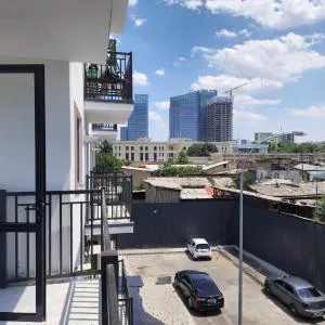 75m2, 299, Near Tashkent City, Karatash street