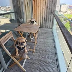 Benji & Milos Apartments