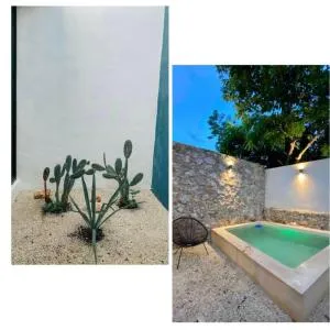 Modern Casa with Pool 7 mins from Centro 5min La Plancha Park
