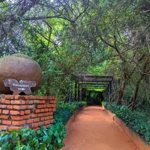 Pinthaliya Resort