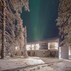 Aavalevi Auroras Gielas Chalet, Ski-In Ski-Out With Mountain View