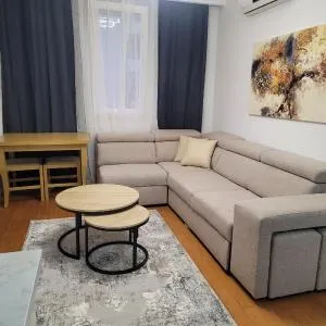 Cozy Apartment ROV