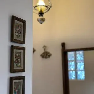 Rosa's cozy central apartment
