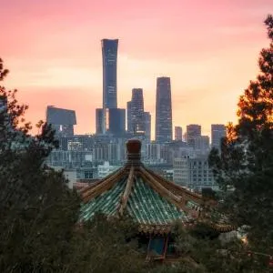 PURPLE HORSE HOTEL &Beijing Hutong Designer Boutique Garden Hotel&French window&Close to The Forbidden City&Tian'anmen&Wangfujing&Nanluogu Lane&Lama Temple&360-degree viewing terrace bar&Small roof swimming pool&Private bathtub&Laundry&Gym&Family suite