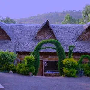 The Untamed Resort