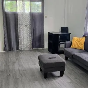 Amiah's Residence - Spacious two bedroom apartment in St George