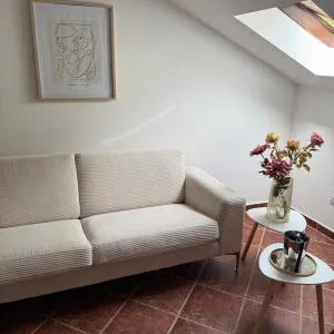 Apartment Damjan