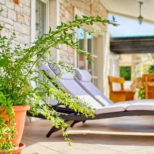 Charming stone villa Lavanda with private pool in Pula near the beach