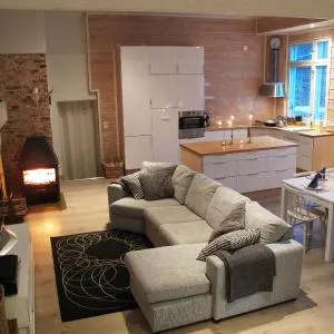 Wanha Koulu Tahkovuori LOFT Perheasunto Paljulla