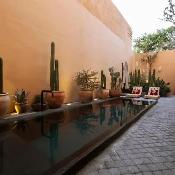 Macondo Arte Oaxaca Hotel Review