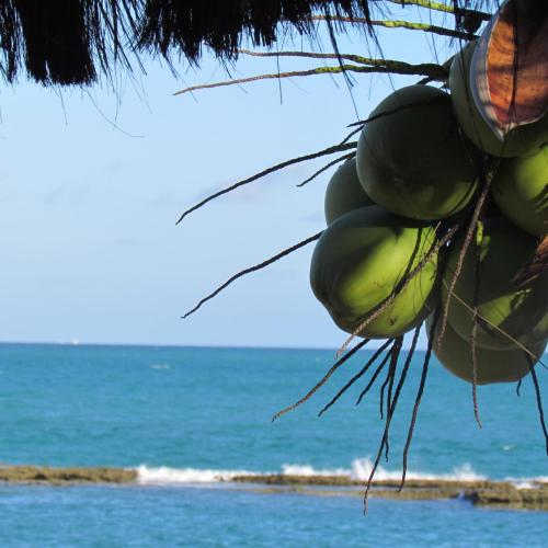 Apart Hotel Marinas Tamandaré em Tamandaré, PE - pousada e hospedagem