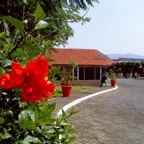 Image of Hotel Paraiso